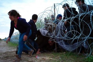 migrants fence